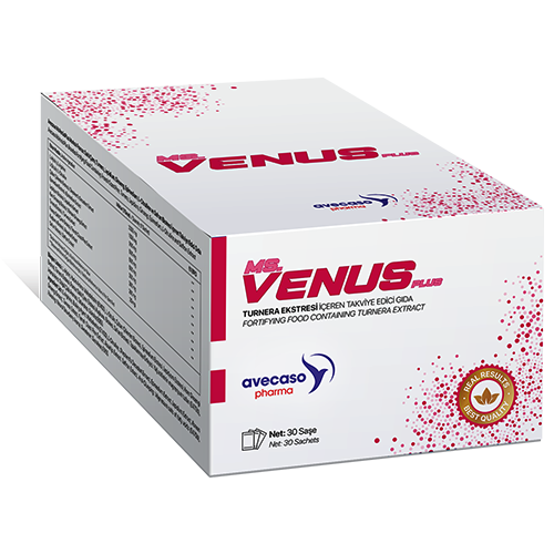 MsVENÜS Plus