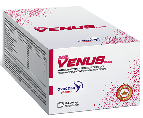 MsVENÜS Plus
